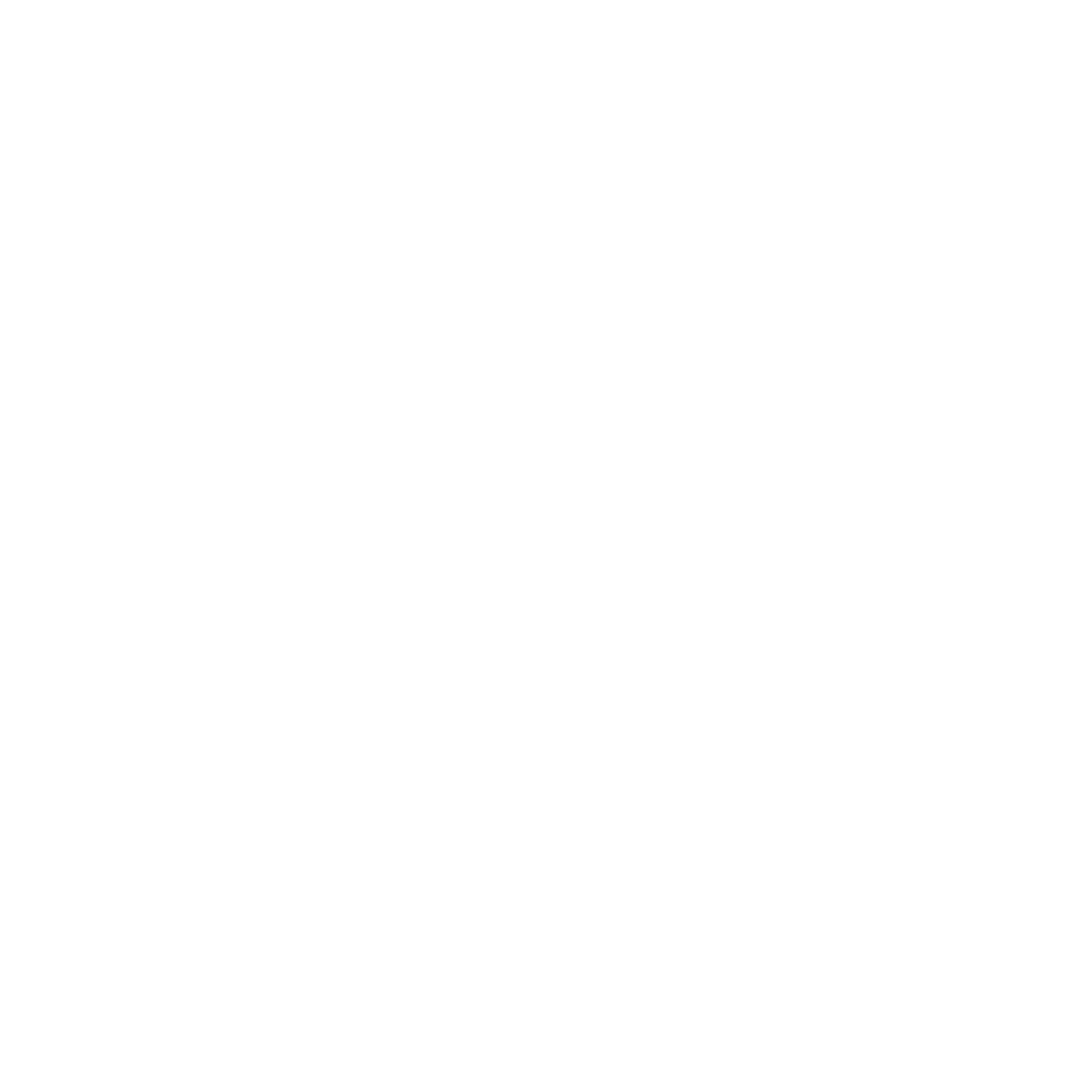 logo leyde